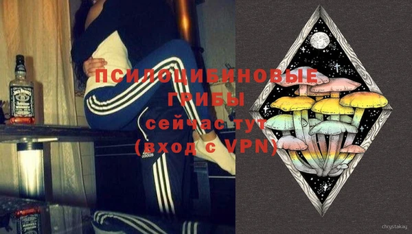 винт Аркадак
